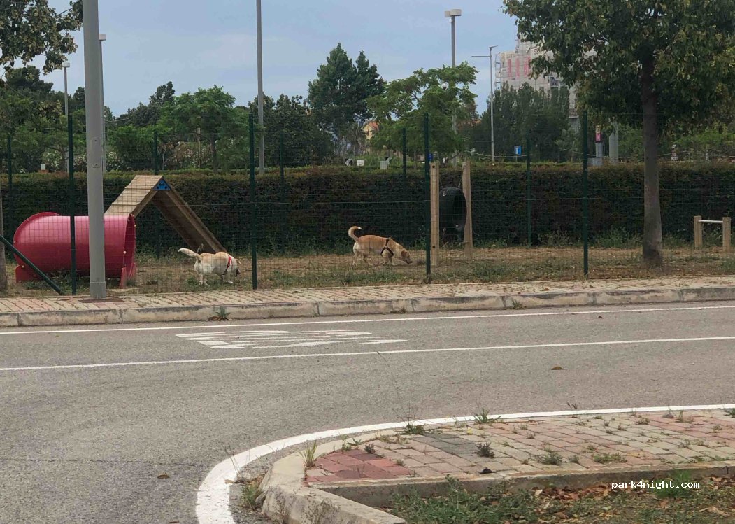 (86036) Marina di Montenero - 17 F Via Isole Tremiti — foto 2