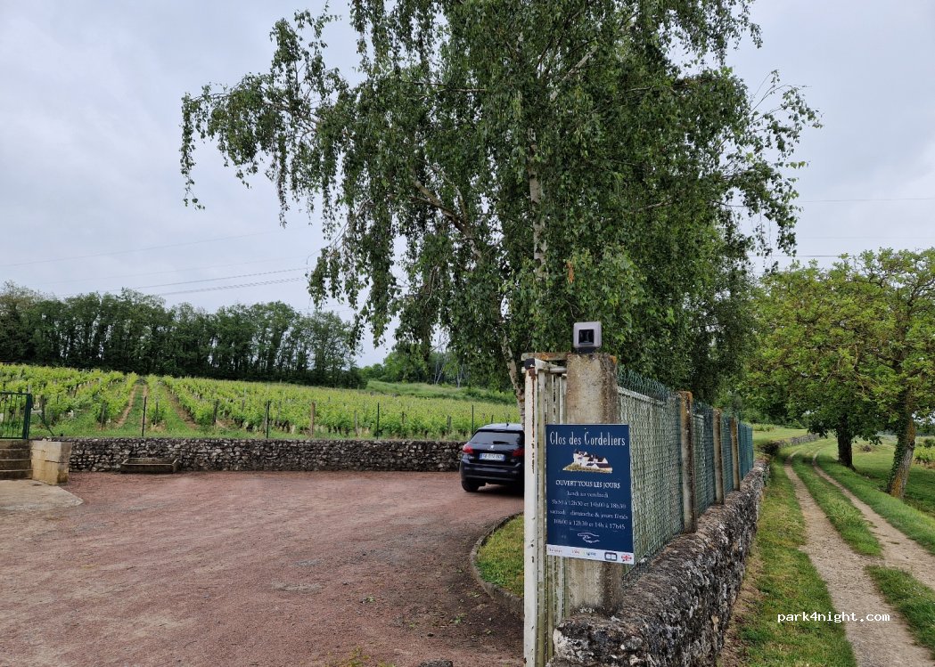(49400) Souzay-Champigny - 310 Chemin des Cordeliers — foto 2