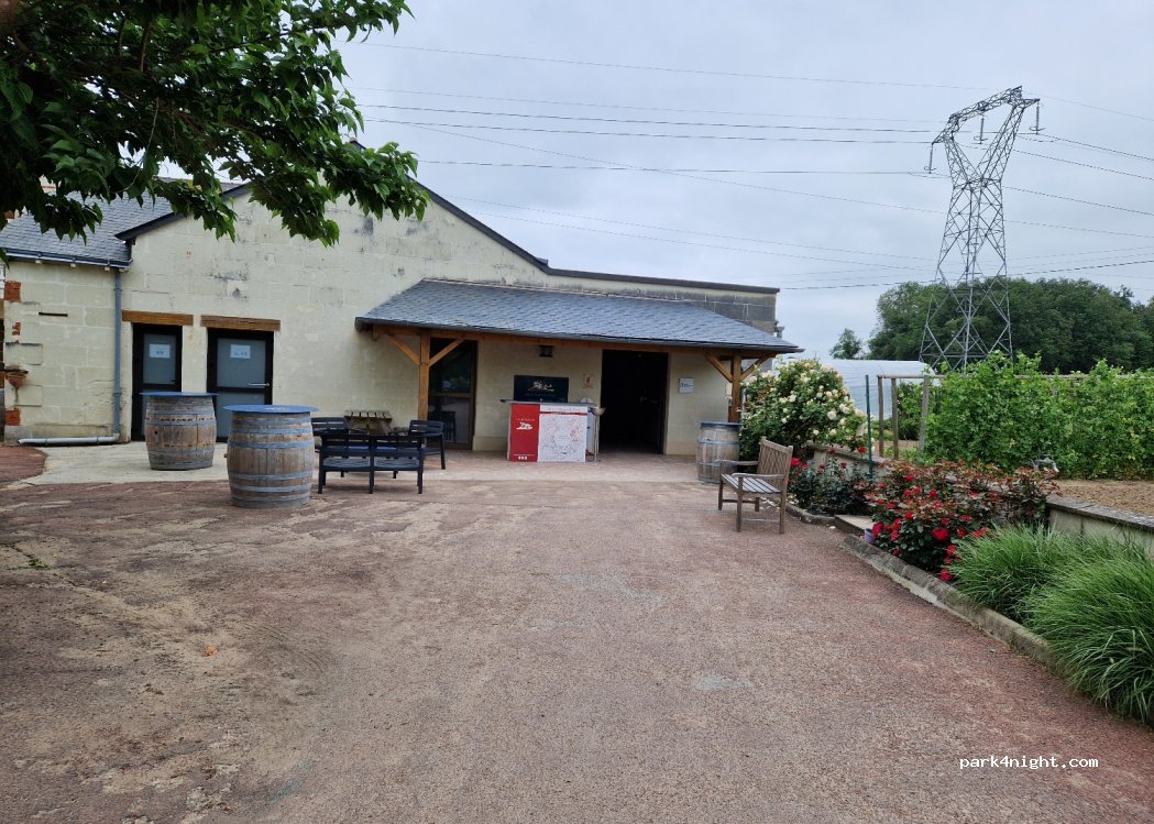 (49400) Souzay-Champigny - 310 Chemin des Cordeliers — foto 3