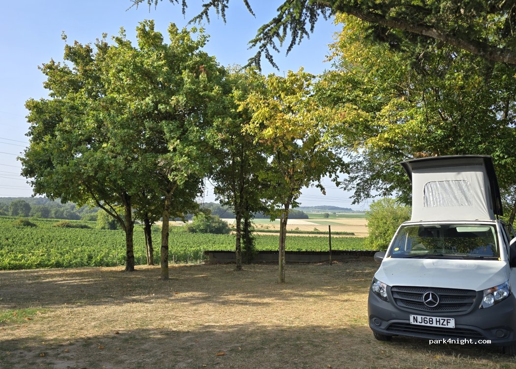 (49400) Souzay-Champigny - 310 Chemin des Cordeliers — foto 5