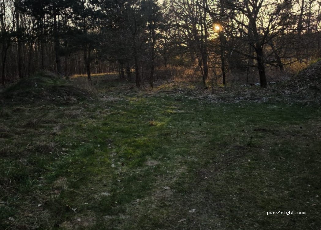 Zauberwald — foto 3