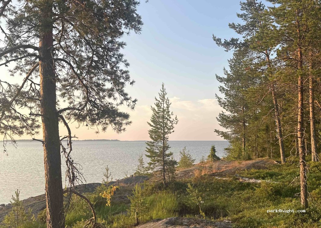 (915 93) Robertsfors Ö - — foto 3