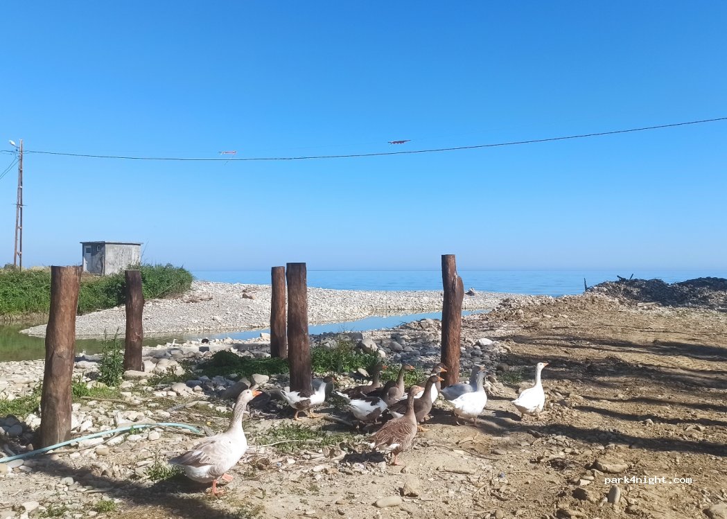 Camp Oluza — foto 2