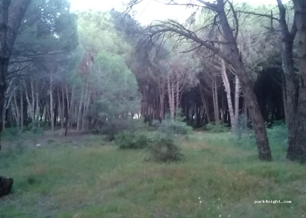 (2000) Plazhi San Pietro - — foto 2