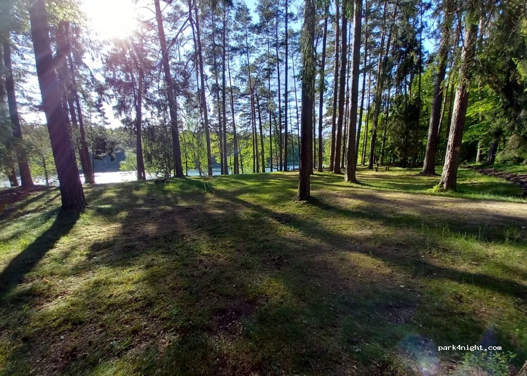 Przylasek — foto