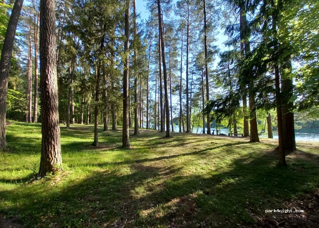 Przylasek — foto 2