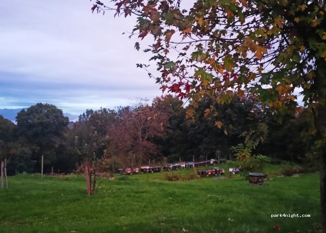 Le Rucher d'Ariane — foto 2