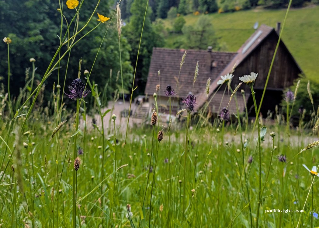 (72275) Alpirsbach - 1 Strohloch — foto 4