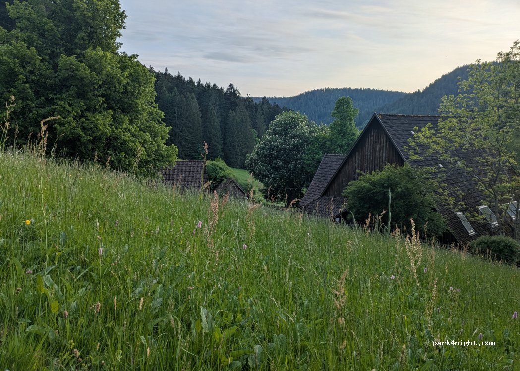 (72275) Alpirsbach - 1 Strohloch — foto 5