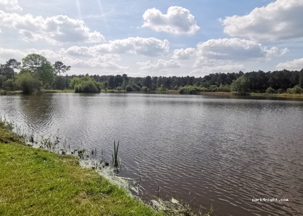 () Coteaux-sur-Loire - D71 — foto