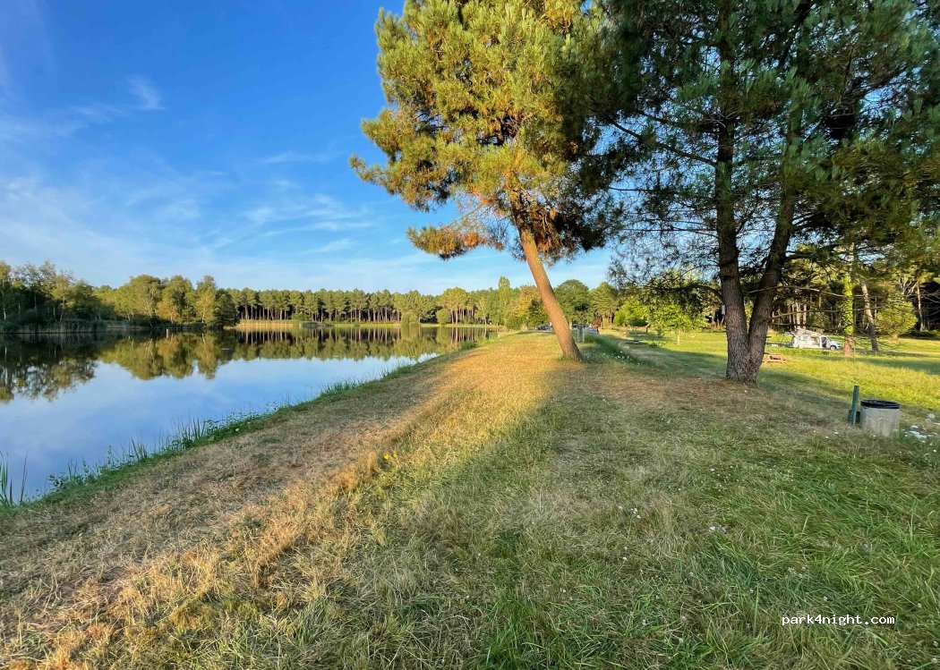 () Coteaux-sur-Loire - D71 — foto 2