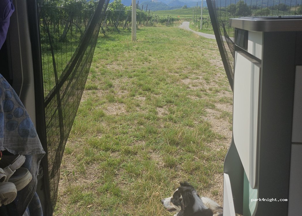(37013) Caprino Veronese - Località Zovo — foto 4