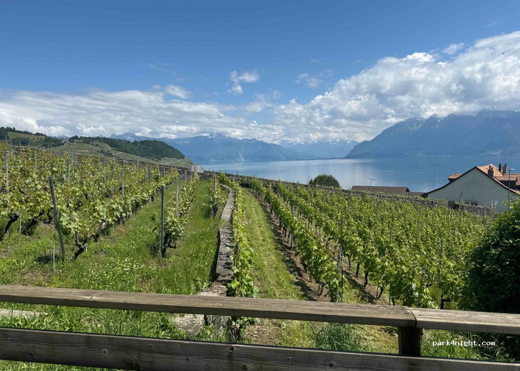 (1091) Bourg-en-Lavaux - 1 Chemin de Bahyse-Dessus — foto