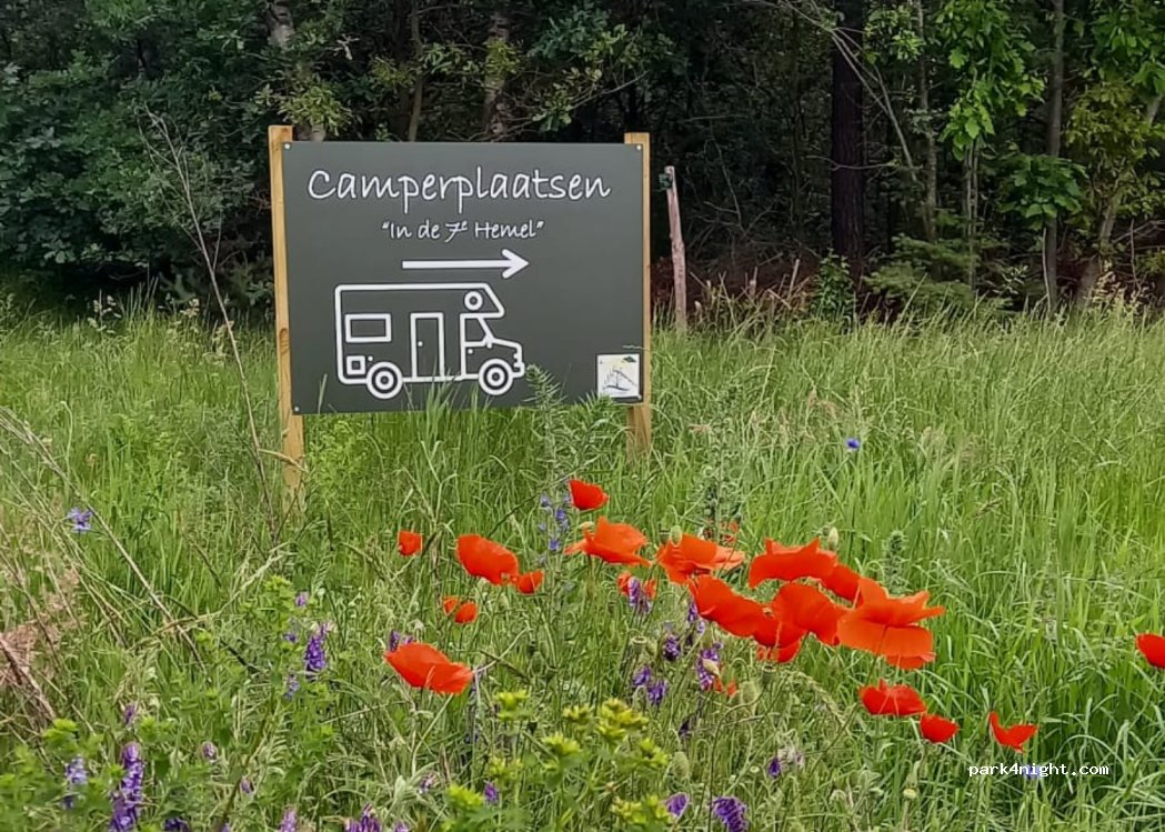(5985 NJ) Grashoek - 7 Belgenhoek — foto