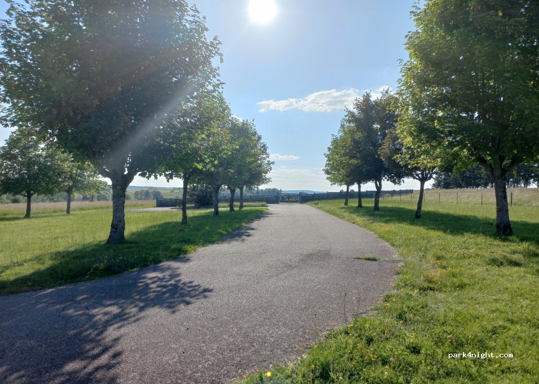 (88220) Uzemain - 25 Le Rond Champ — foto