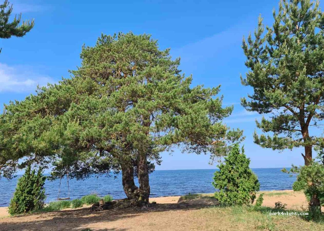 (187422) Zaostrov'e - — foto 2
