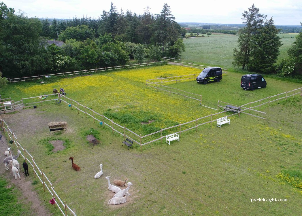Ullerup Højgård Alpakafarm — foto