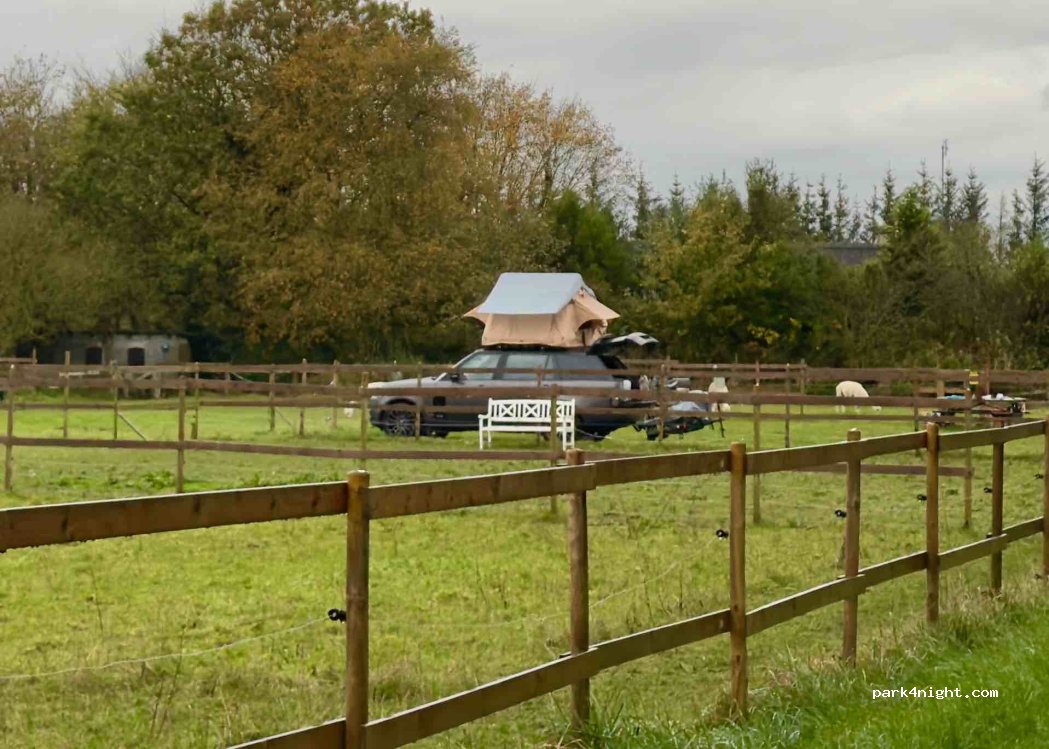 Ullerup Højgård Alpakafarm — foto 3