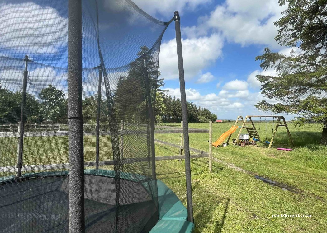 Ullerup Højgård Alpakafarm — foto 4