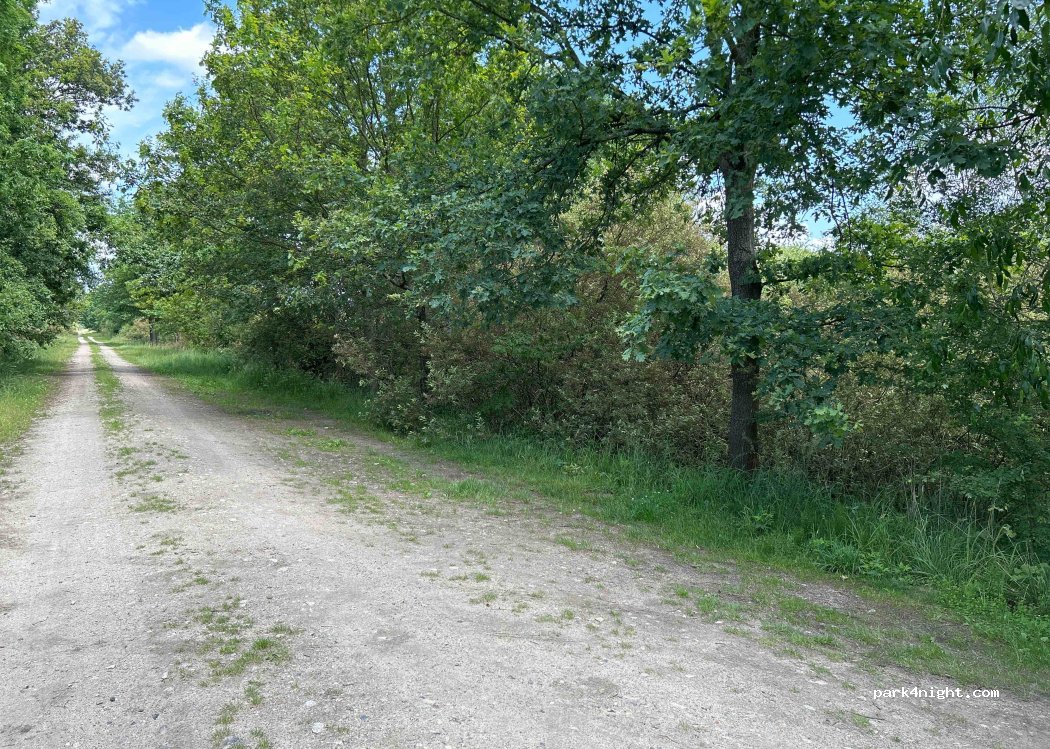 (59-170) Ostaszów - — foto 3