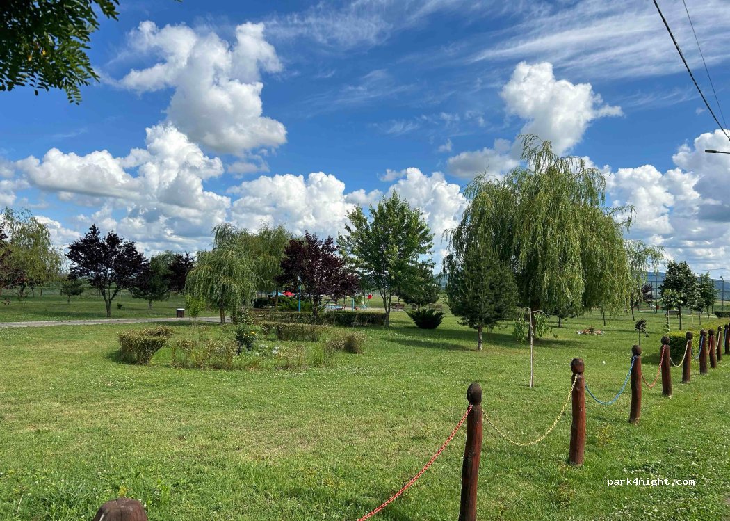 (437300) Sălsig - 3 Strada Parcului — foto 2