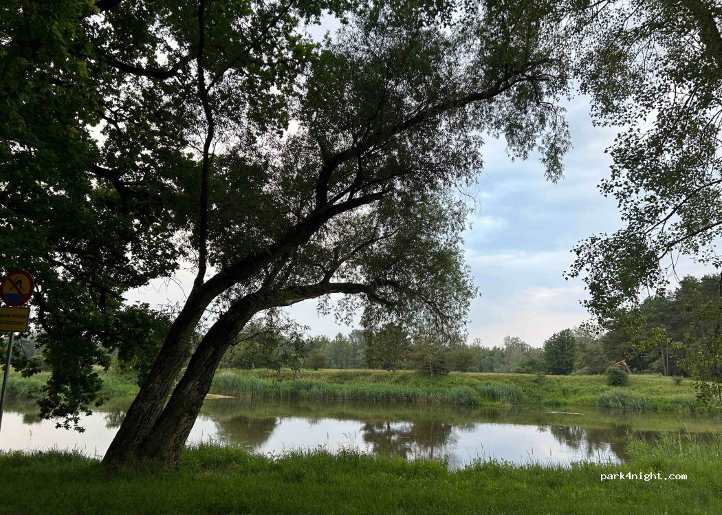 (63-100) Kotowo - Unnamed Road — foto