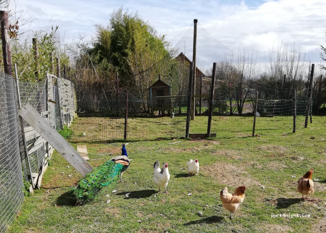 Camping Ushuaïa Villages Les Pommiers Pays d’Auge — foto 4
