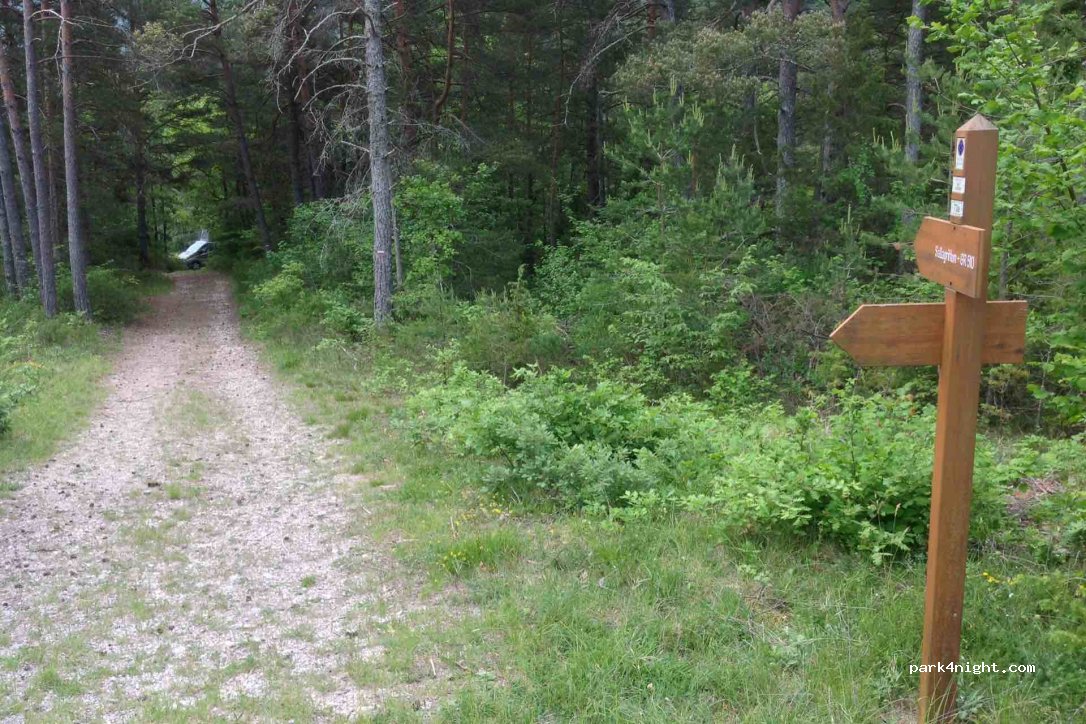 (06910) Sallagriffon - 906 D2211A — foto 2
