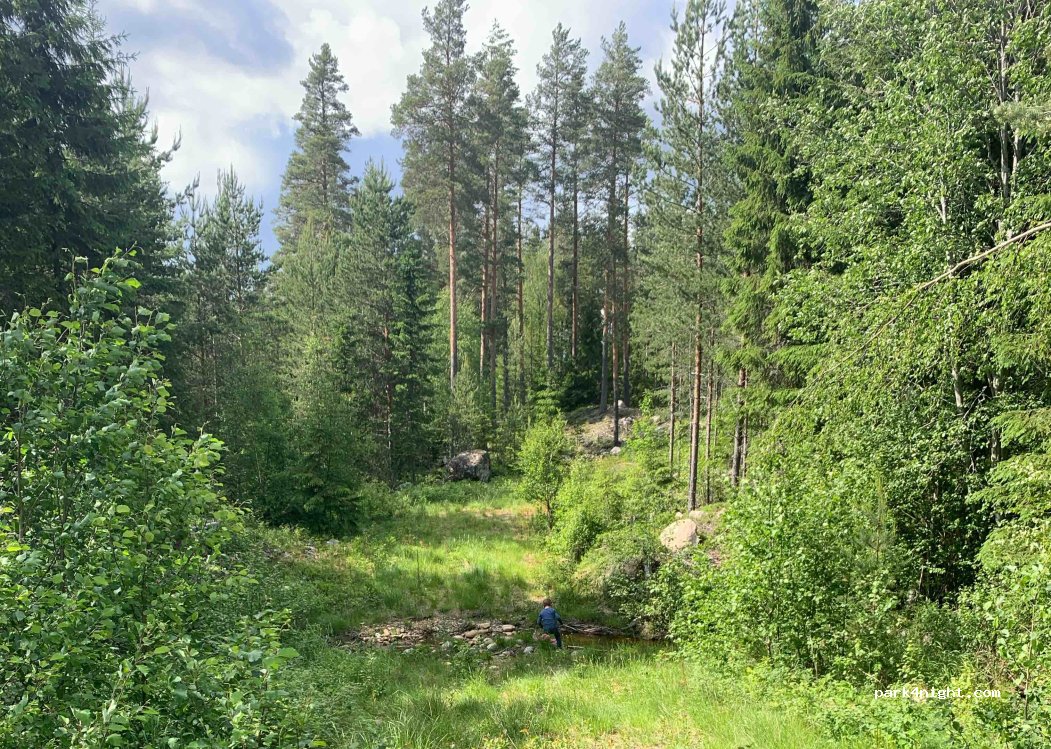 (2330) Søsaga - — foto