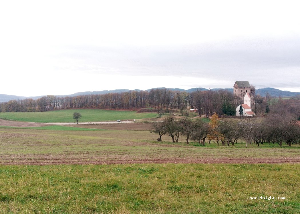 (59-420) Świny - — foto