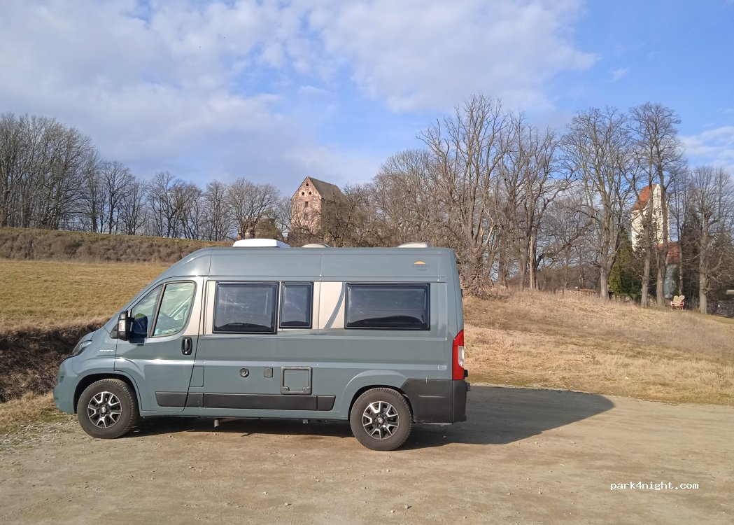 (59-420) Świny - — foto 2