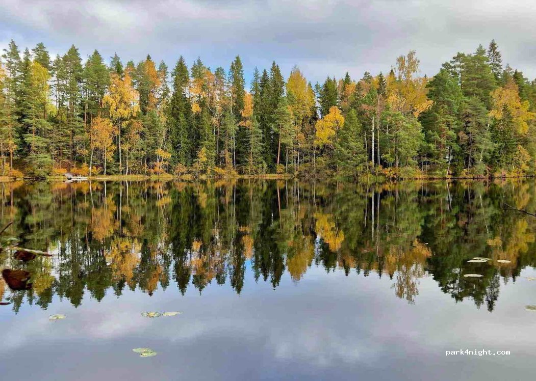 (31130)  - 9 Leppäkärjentie — foto 4