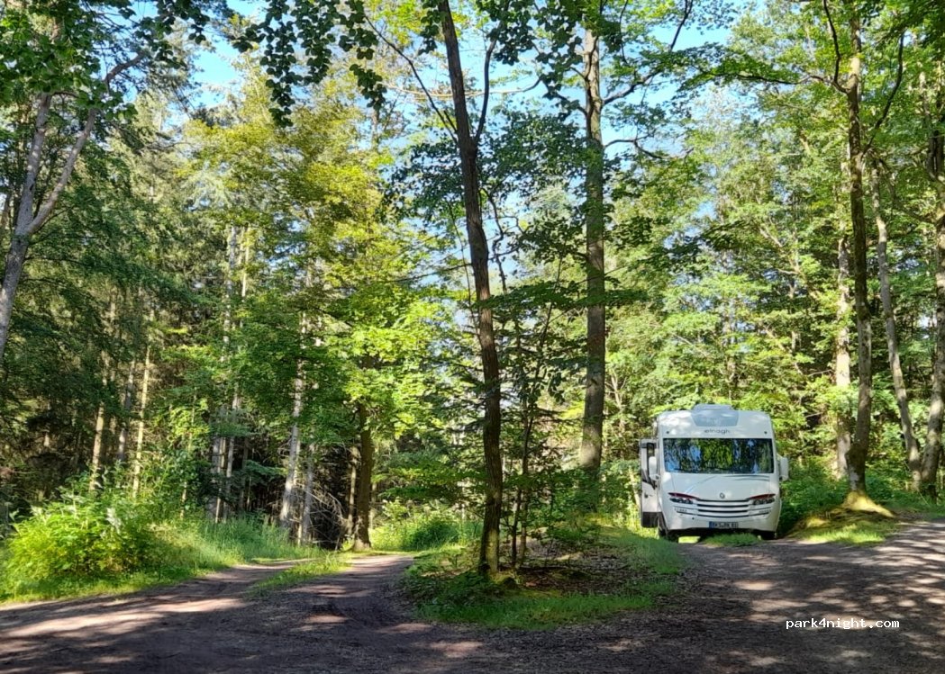 (66994) Dahn - Unnamed Road — foto