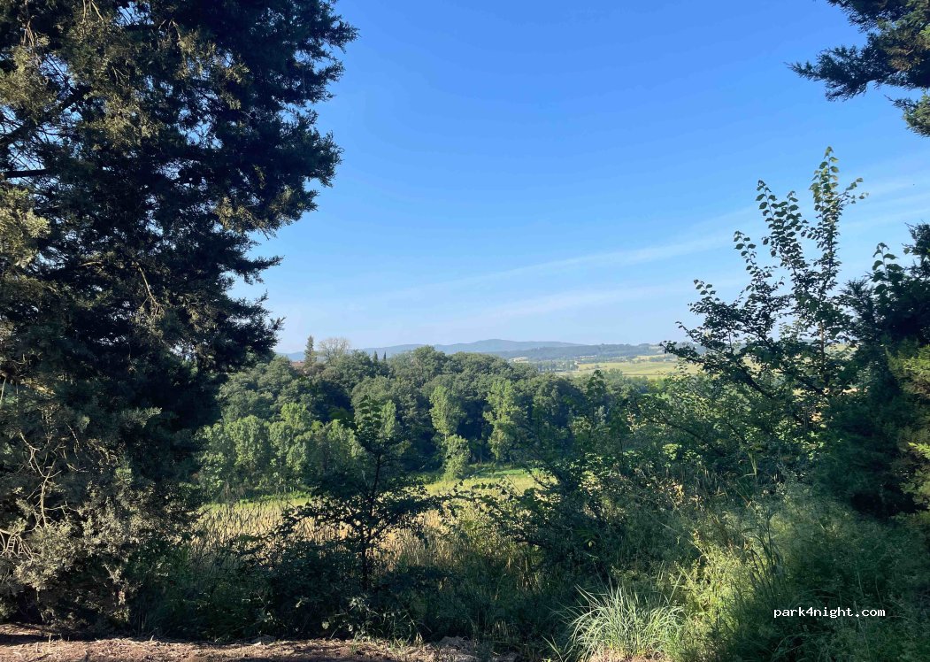 (53022) Buonconvento - Unnamed Road — foto