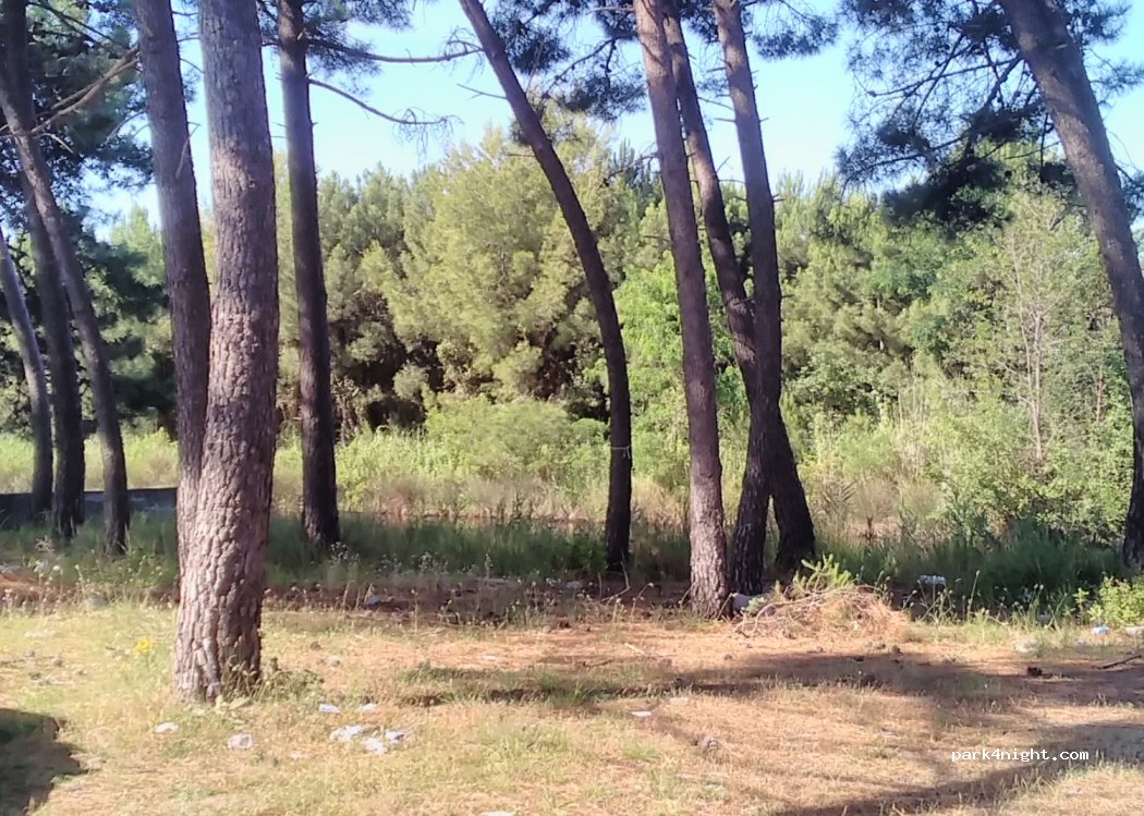 (4503) Lezhë District - — foto