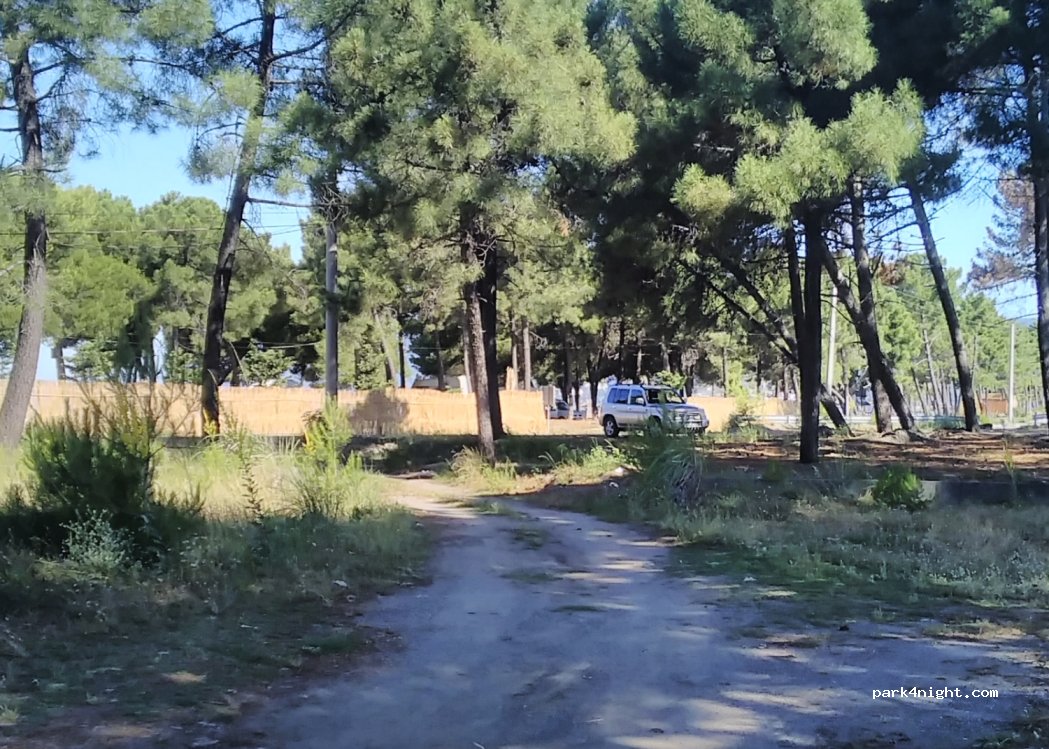(4503) Lezhë District - — foto 3