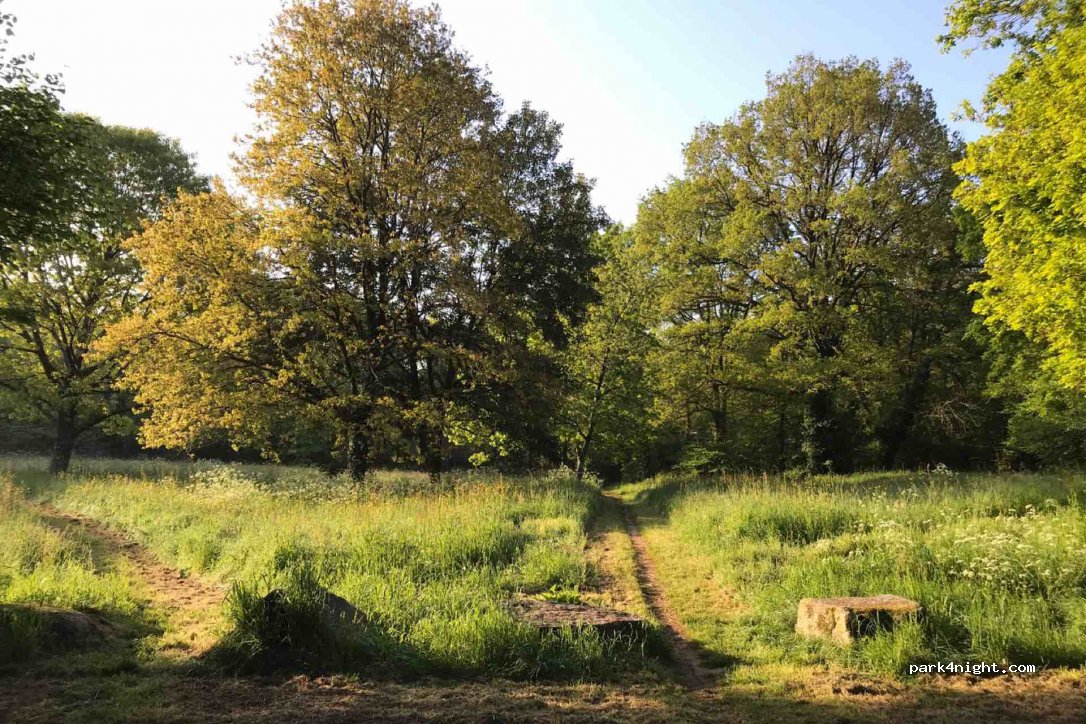 (85590) Les Epesses - 4 Le Domaine — foto
