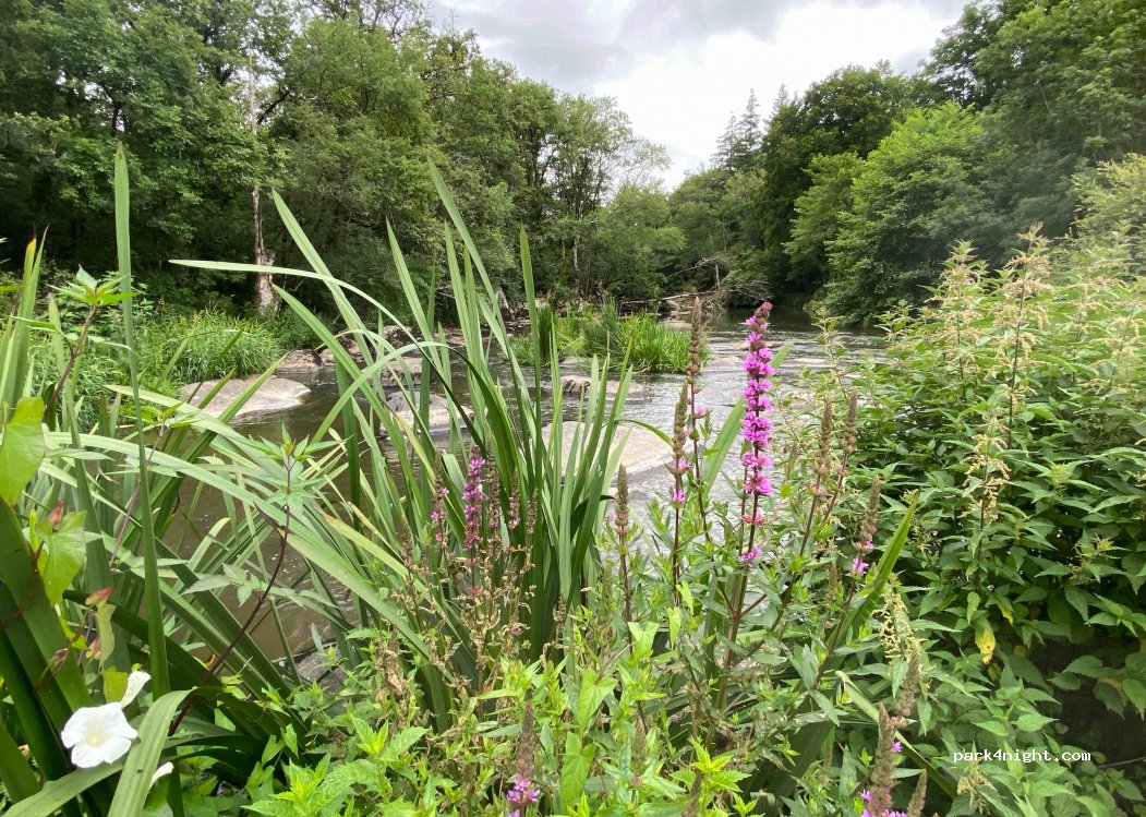 (85590) Les Epesses - 4 Le Domaine — foto 2