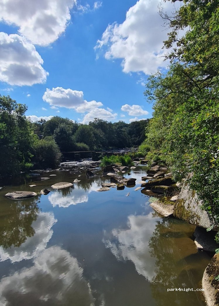 (85590) Les Epesses - 4 Le Domaine — foto 4