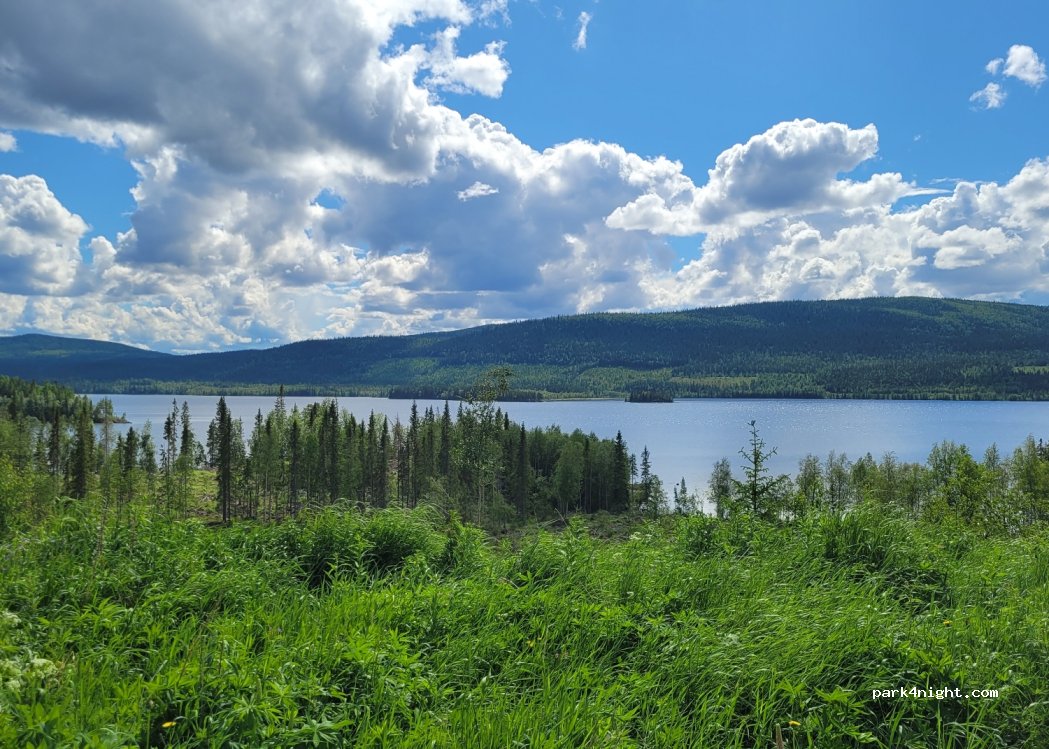 (833 98) Håkafot - 342 — foto