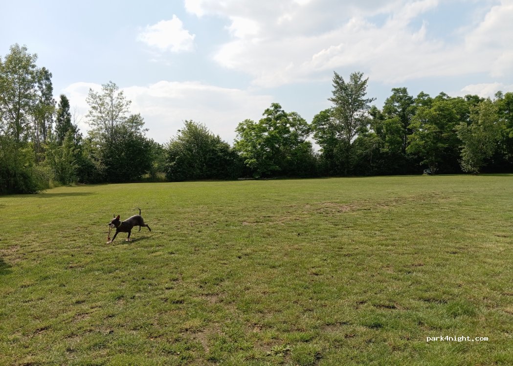 (06231) Bad Dürrenberg - Sterlingsweg — foto 2