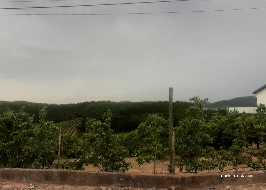 (2500) Caldas da Rainha - 8 Rua Manuel Louro Miguel — foto 2
