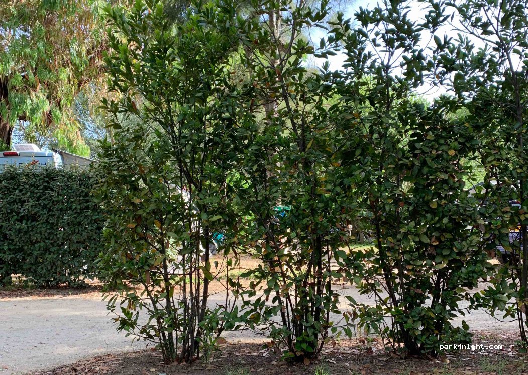 Campingplatz Saint Pons — foto 3