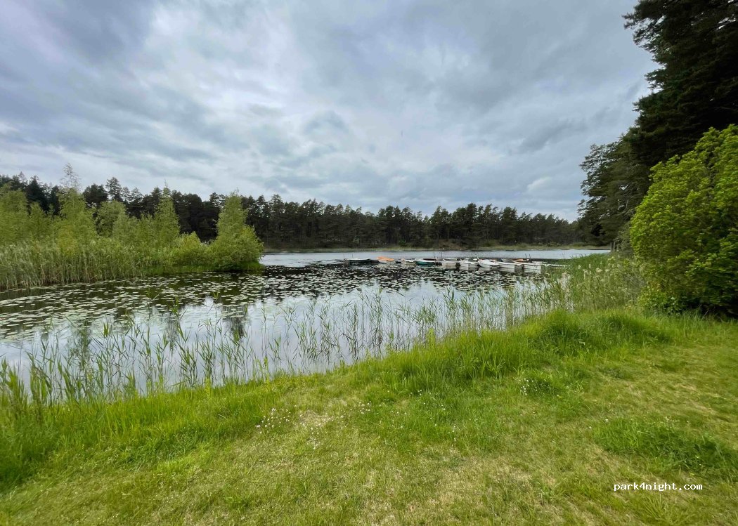 Skogssjön camping — foto 2