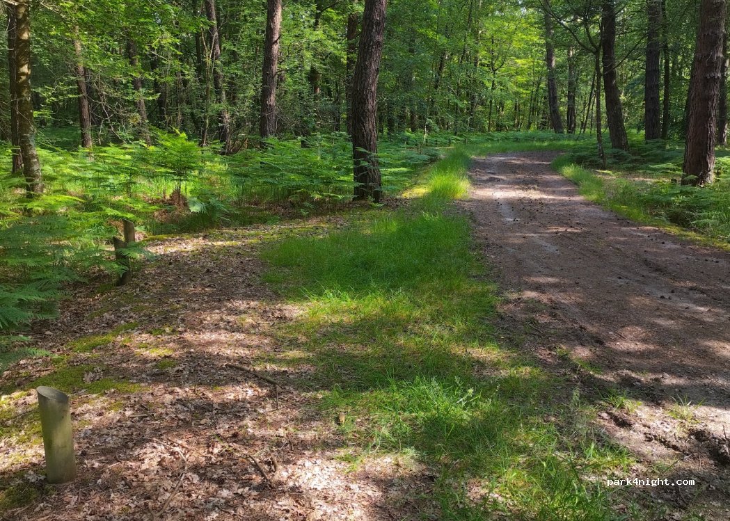 (44130) Le Gavre - Rond-Point de la Belle Étoile — foto 4