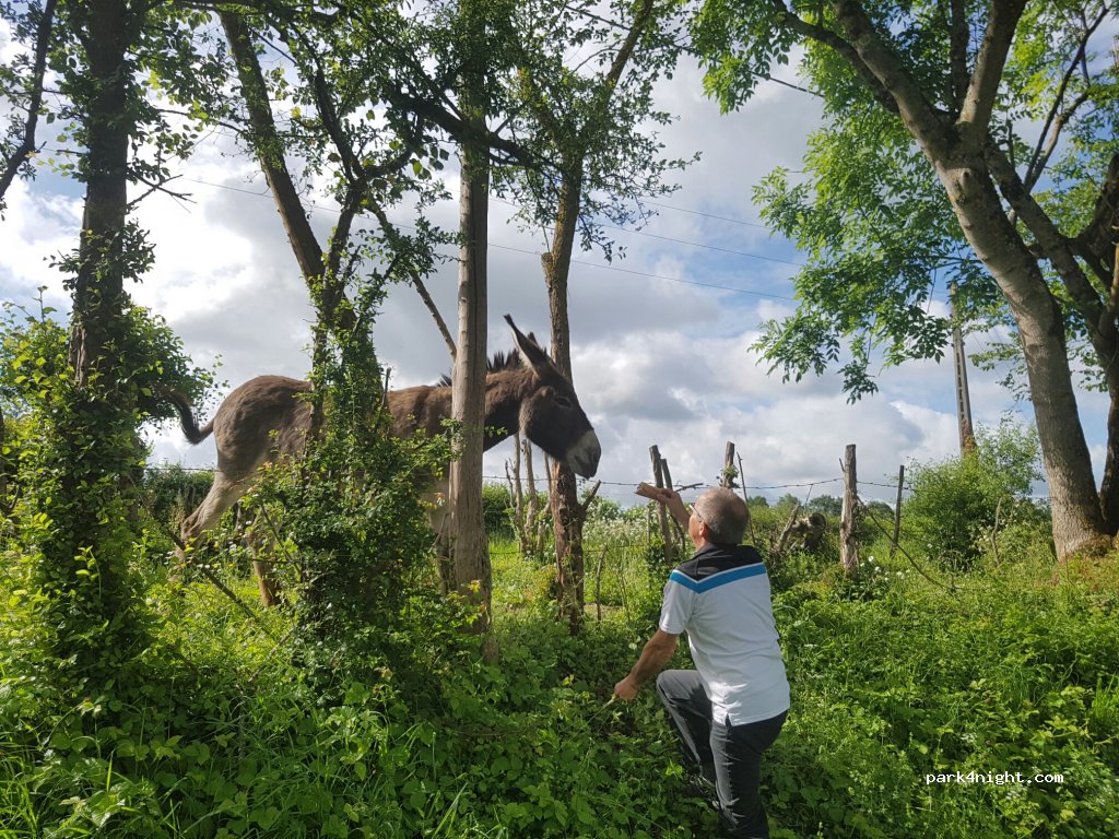 (36230) Neuvy-Saint-Sépulchre - Les Pierres Bures — foto 2