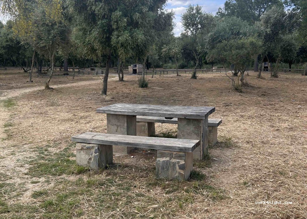(41800) Sanlúcar la Mayor - Cam. Real Viejo — foto 3
