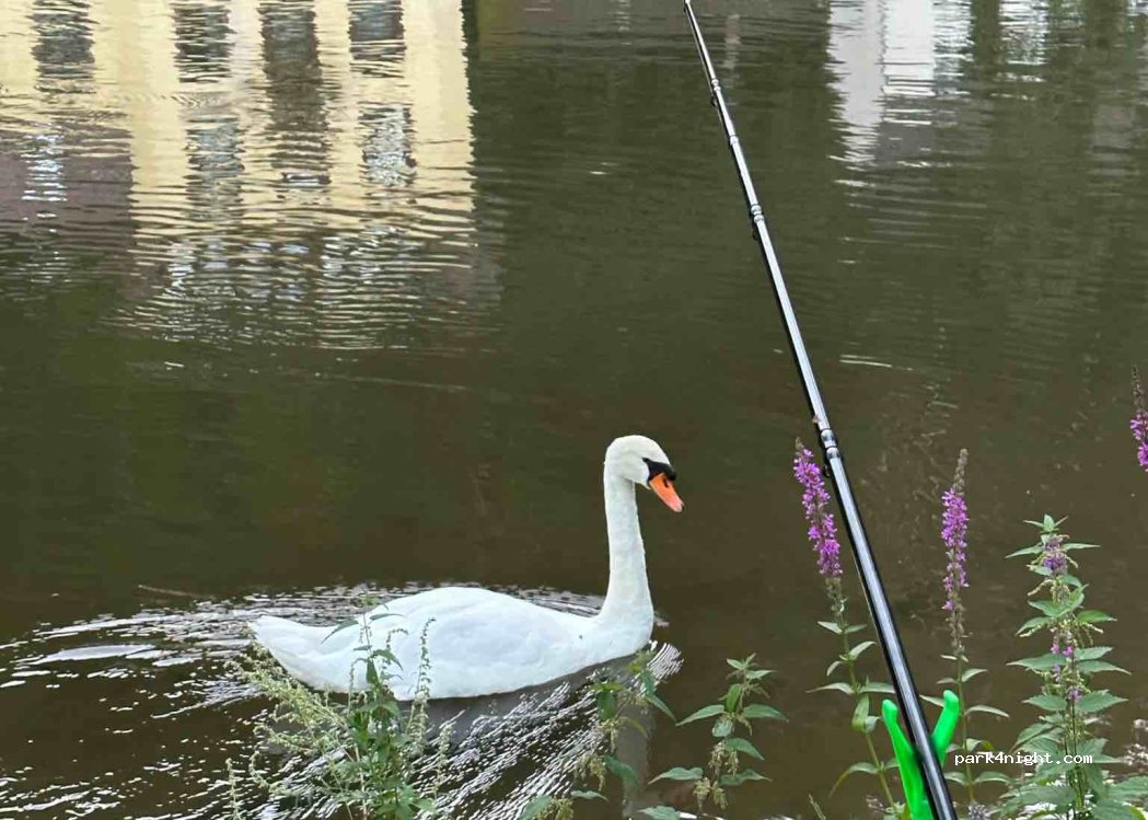Campingplatz Obernhof an der Lahn — foto