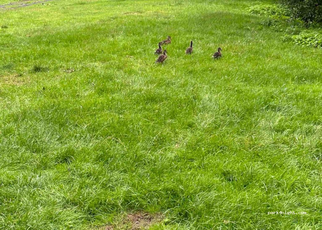 Campingplatz Obernhof an der Lahn — foto 2