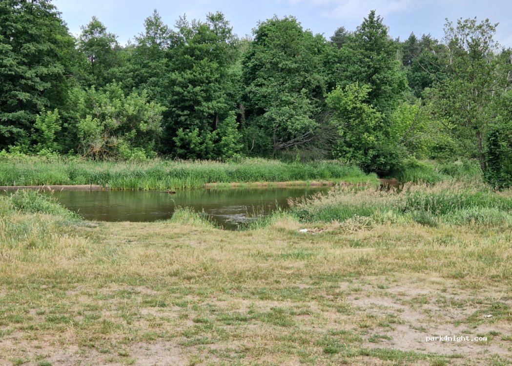 (05-281) Borzymy - 21 Słoneczna — foto 2